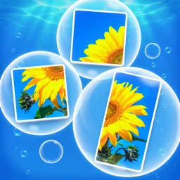Bubblepics - Pop Jigsaw Puzzle のアイコン